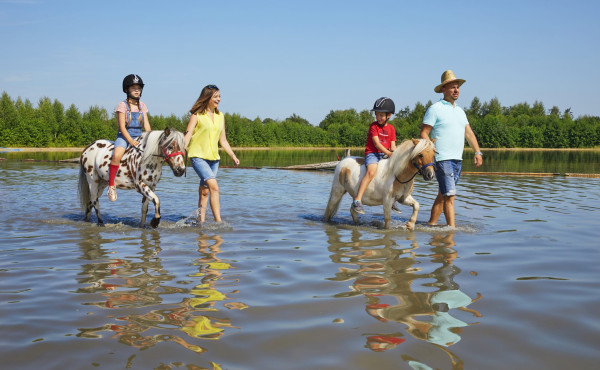 Pony vakantie