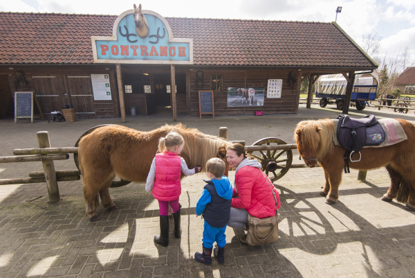 Hoofdafbeelding herfst-DESKTOP-7U2Q405.jpg