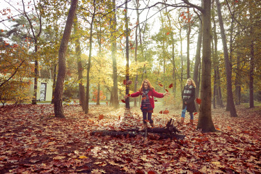 Hoofdafbeelding herfst.jpg