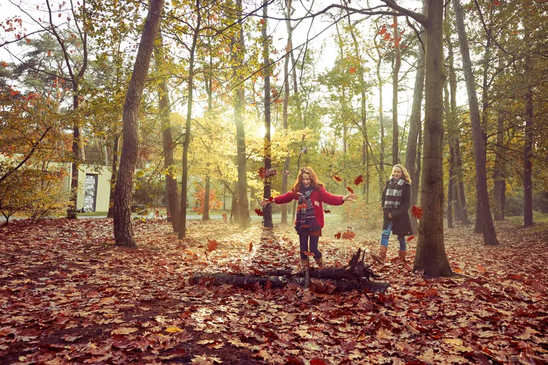 Hoofdafbeelding herfst.jpg