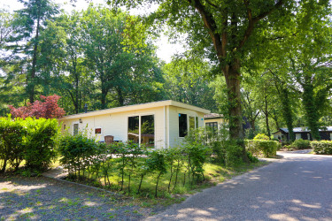 droompark-hooge-veluwe (7).jpg