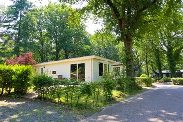 droompark-hooge-veluwe (7).jpg