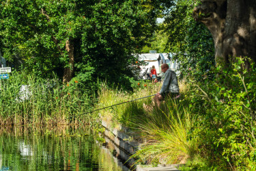 Camping Landgoed Eysinga State 