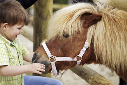 Center Parcs Les Trois Forets