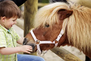 Op vakantie met baby's en kleine kinderen