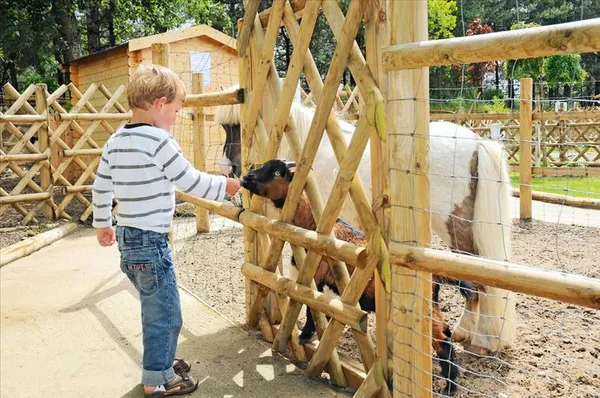 Kindvriendelijk Vakantiepark Belle Dune - Fort-Mahon in Frankrijk