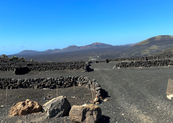 Relaxia Lanzasur Club