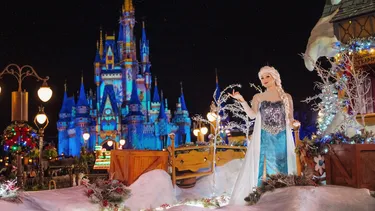 Walt Disney World