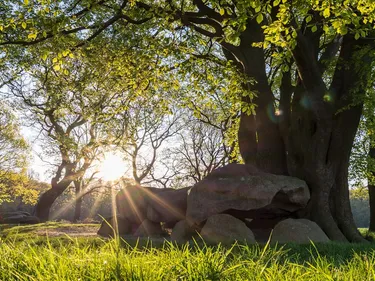 Landal Drentse Lagune