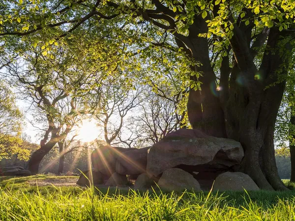 Landal Drentse Lagune