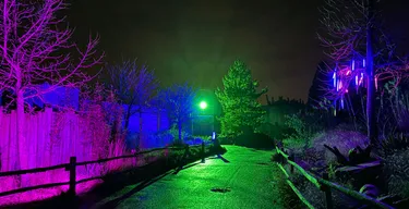 Lights of Nature.jpg