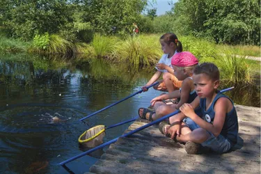 Hoofdafbeelding zomer.jpg