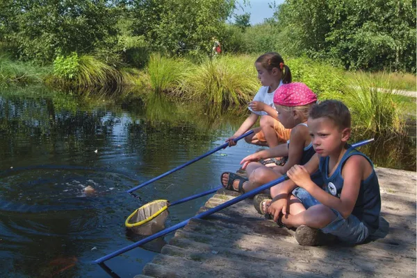 Hoofdafbeelding zomer.jpg