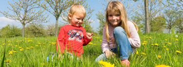 De leukste activiteiten in Noord-Brabant