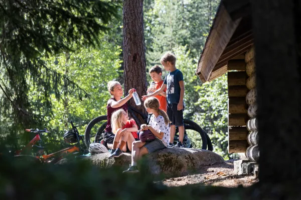 Zweden: het land van Pippi Langkous en elanden