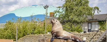 Meivakantie tip: ontdek de wondere waterwereld van dichtbij