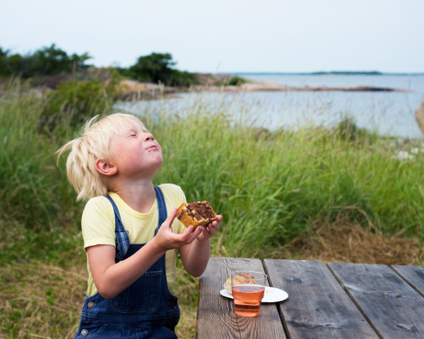 Familiepret Denemarken & Zweden