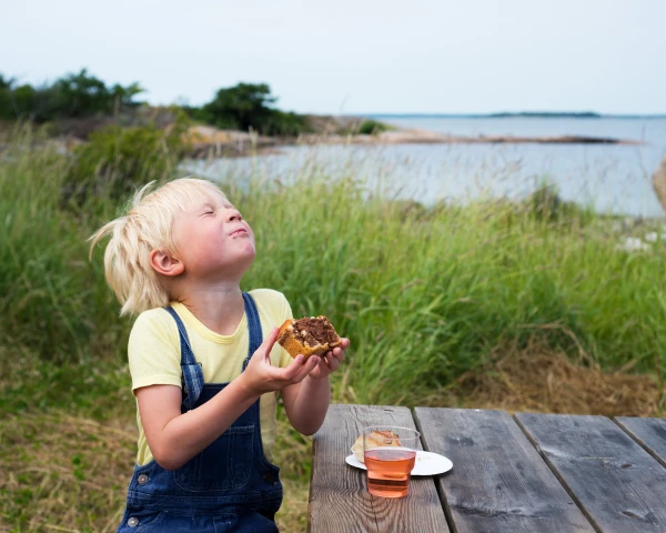 Familiepret Denemarken & Zweden