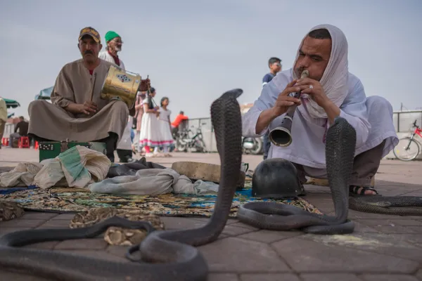 Djemaa el Fna