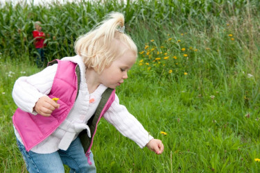 vakantiepark-bospark-de-bikkels (2).jpg