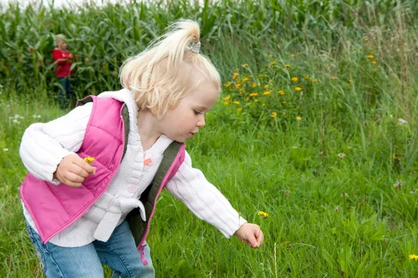 vakantiepark-bospark-de-bikkels (2).jpg