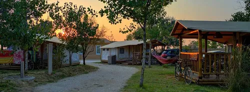 Jungle Lodge	