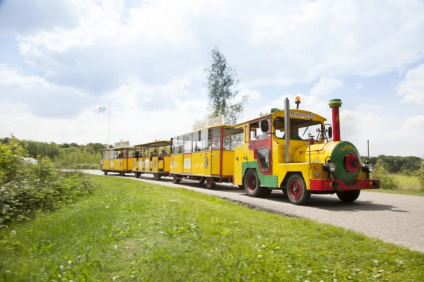 de-flaasbloem (4).jpg