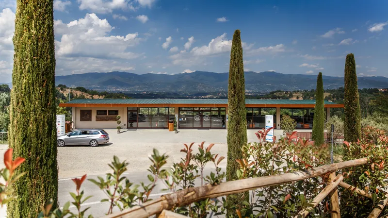 norcenni-girasole-club_44865381475_o.jpg