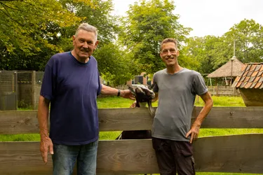 BoerenBed Het Boshuis