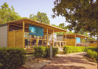 recently watched image