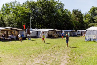 Vakantiepark het Grote Bos
