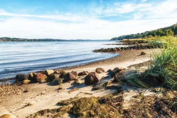 Vejle City Camp