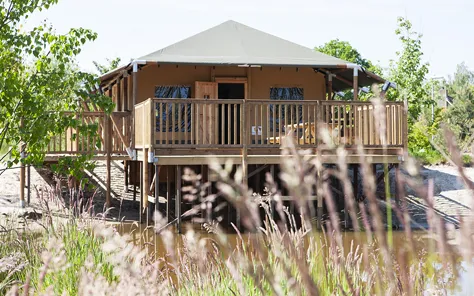 Dromerig uitzicht door het riet op een luxe safarilodge op palen, die direct aan de speelvijver van Vakantiepark Sallandshoeve staat.