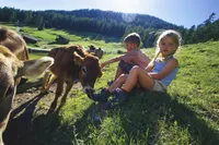 recently watched image