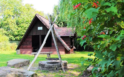 De gezellige, overdekte grillhut en kampvuurplaats op Feriendorf Waldbrunn, ideaal voor een barbecue-avond tijdens je vakantie in het Zwarte Woud.