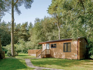 Vakantiepark Darwin Forest