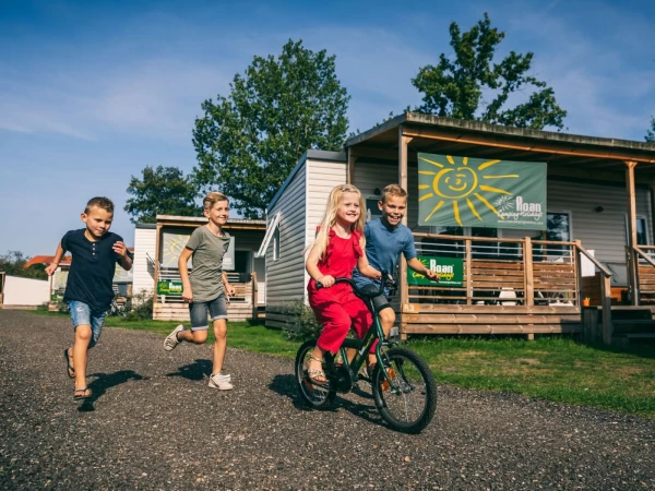 Camping de Schatberg zomer - kopie.jpg