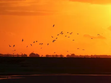 Landal Marker Wadden