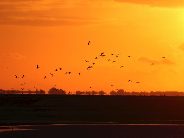Landal Marker Wadden