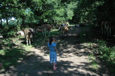 La Ferme de Penquelen