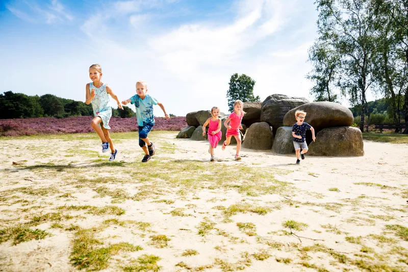 marketing-drenthe_a3a7878-1.jpg