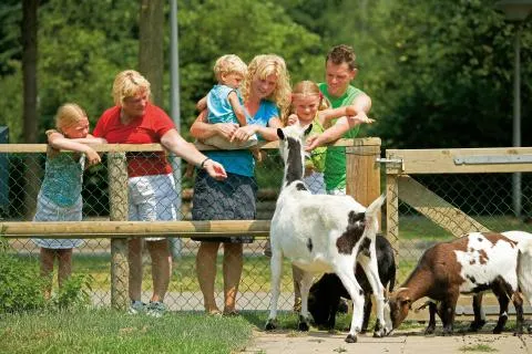 Babybungalow Landal Aelderholt