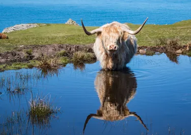 Rondreis Buro Scanbrit 