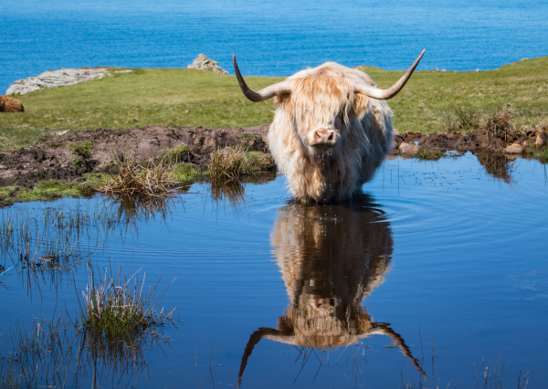 Rondreis Buro Scanbrit 