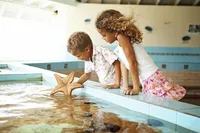 recently watched image