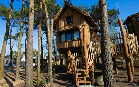 Luxe boomhut tussen de wilde dieren 