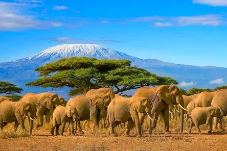 Kenia met kinderen