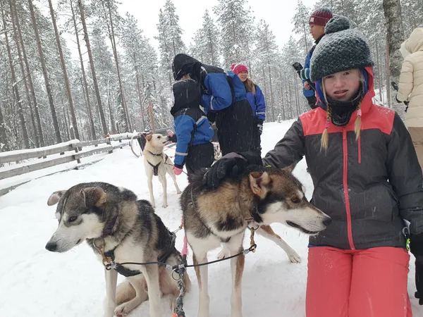 Husky safari Finland