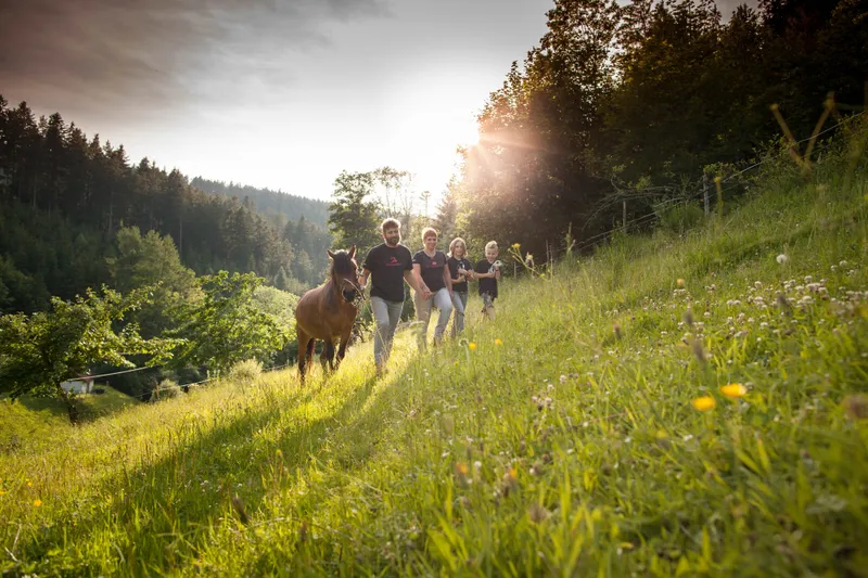 Hilserhof