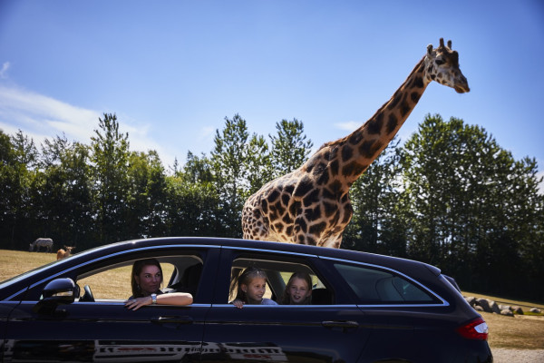 LEGOLAND Denemarken, dagje uit Safaripark 